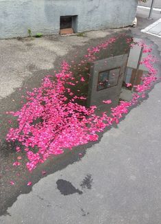 Descripción de la imagen 1